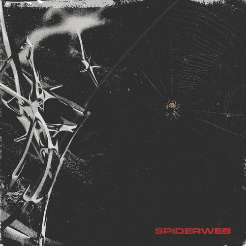 FRONTIÈRES - Spiderweb cover 