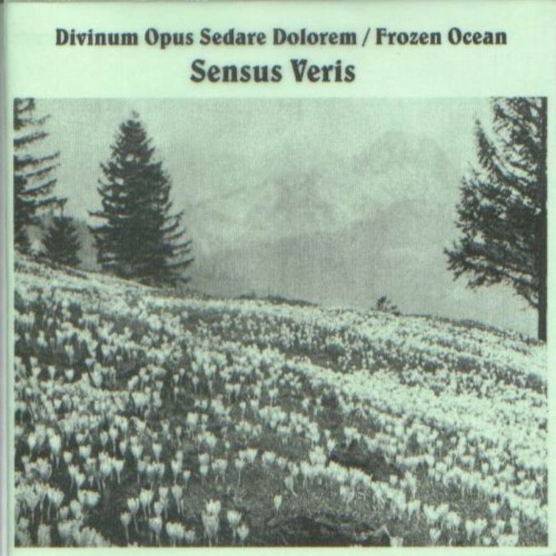 FROZEN OCEAN - Sensus Veris cover 