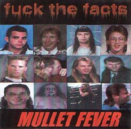 FUCK THE FACTS - Mullet Fever cover 