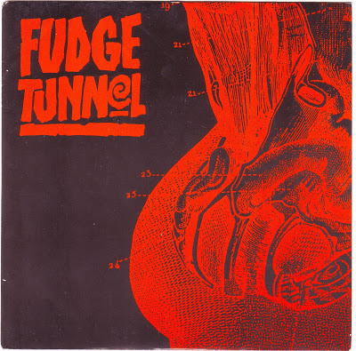 FUDGE TUNNEL - Fudge Tunnel cover 