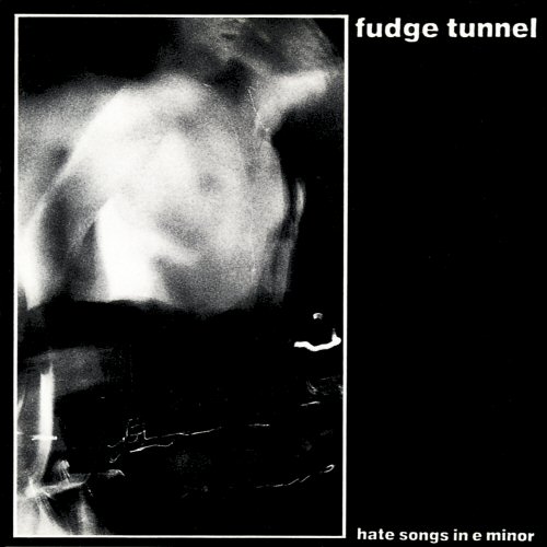FUDGE TUNNEL - Hate Songs in E Minor cover 