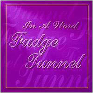FUDGE TUNNEL - In A Word cover 
