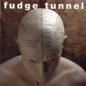 FUDGE TUNNEL - The Complicated Futility Of Ignorance cover 