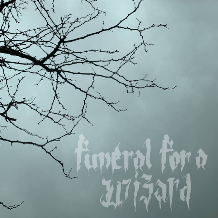 FUNERAL FOR A WIZARD - I Said Eye Of Newt Not Eye Of Coot! cover 