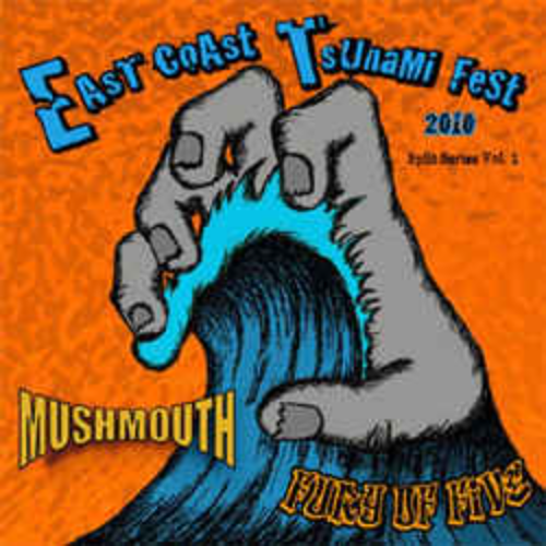 FURY OF FIVE - East Coast Tsunami Fest 2010 Split Series Vol. 1 cover 