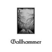 GALLHAMMER - Gallhammer cover 