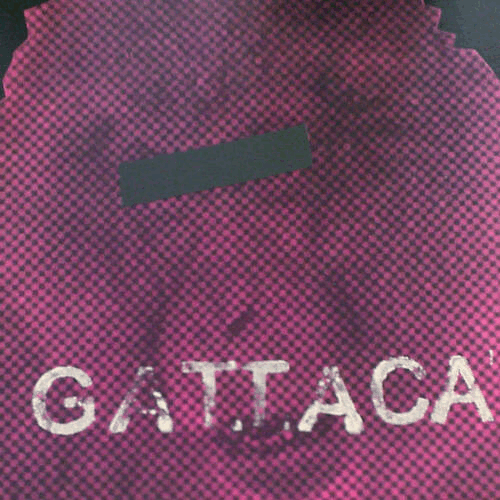 GATTACA - Gattaca cover 