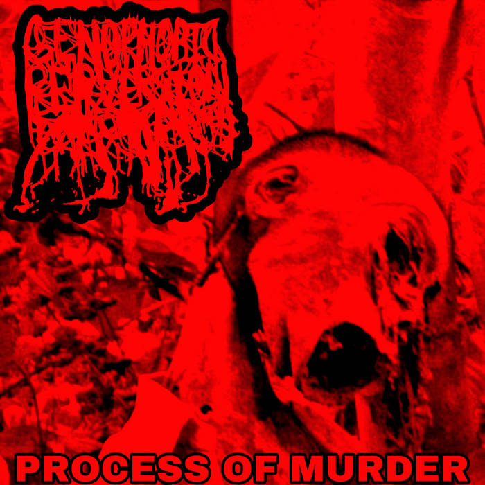 GENOPHOBIC PERVERSION - Process Of Murder cover 