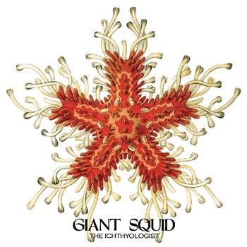 GIANT SQUID - The Ichthyologist cover 