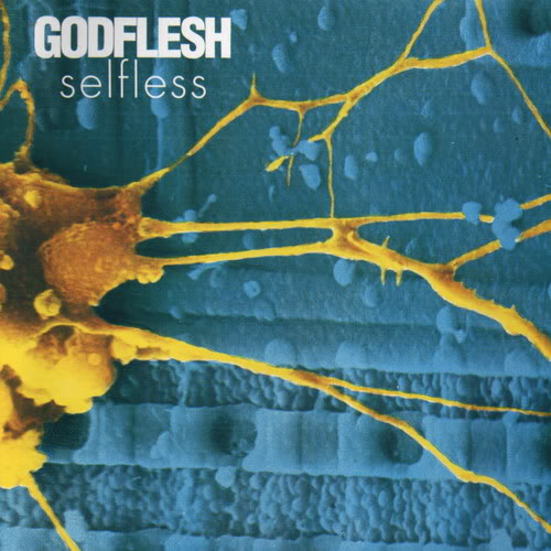 GODFLESH - Selfless cover 