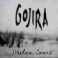 GOJIRA - Wisdom Comes cover 