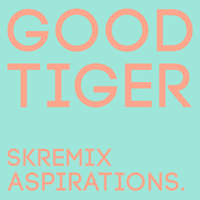 GOOD TIGER - Aspirations (Skremix) cover 