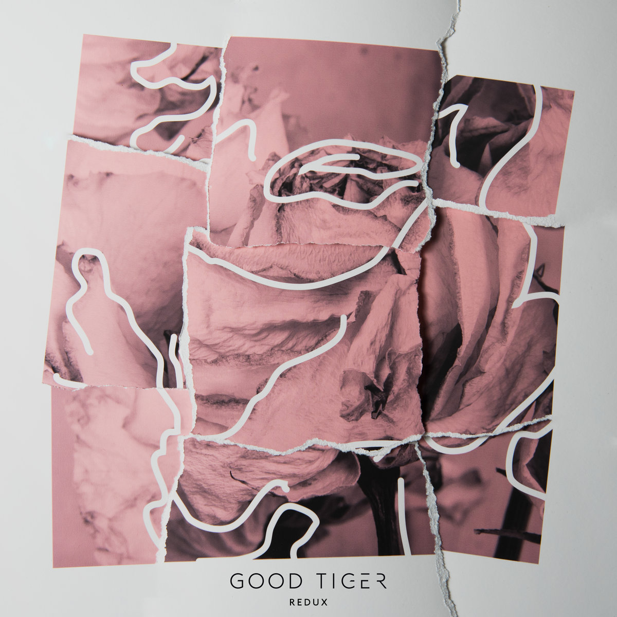 GOOD TIGER - Redux cover 