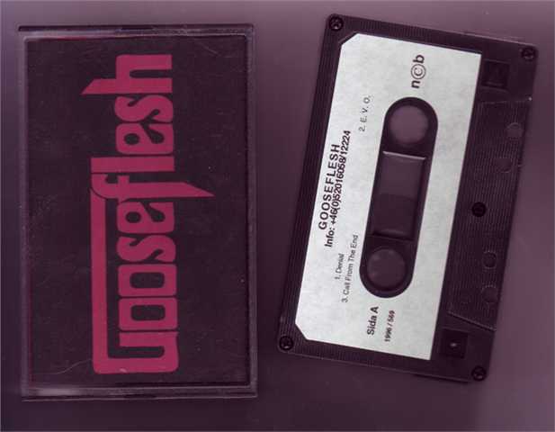 GOOSEFLESH - Demo 1996 cover 
