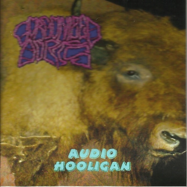 GORGONIZED DORKS - Audio Hooligan cover 
