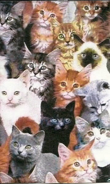 GORGONIZED DORKS - Cat Split cover 