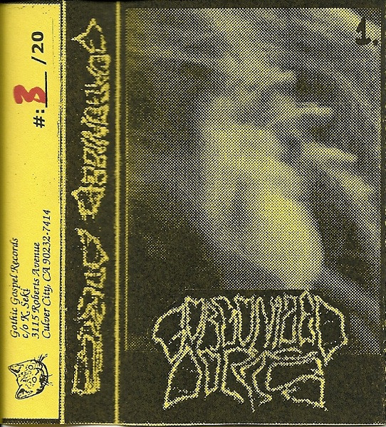 GORGONIZED DORKS - Explorations Of Aural Destruction Vol. 1 & 2 cover 