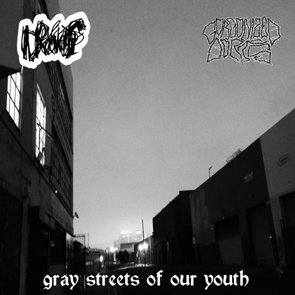 GORGONIZED DORKS - Gray Streets Of Our Youth cover 