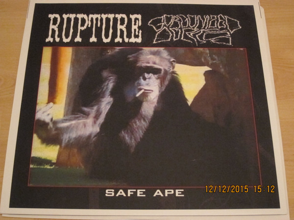 GORGONIZED DORKS - Safe Ape cover 
