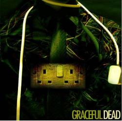GRACEFUL DEAD - Graceful Dead cover 