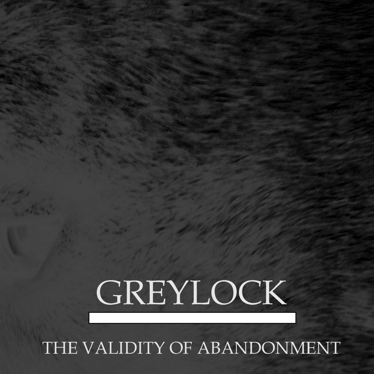GREYLOCK - The Validity Of Abandonment cover 