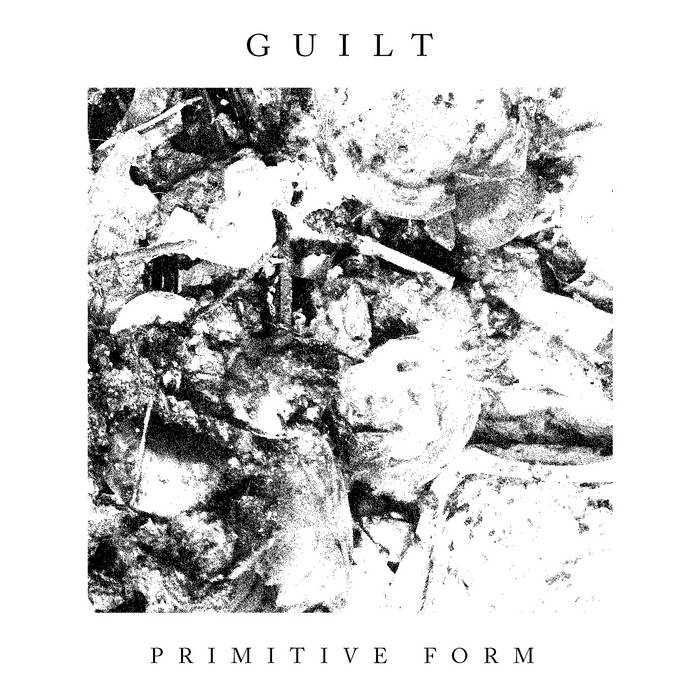 GUILT (NH) - Primitive Form cover 