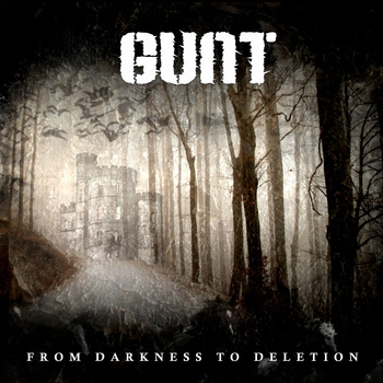 GUNT - From Darkness to Deletion cover 