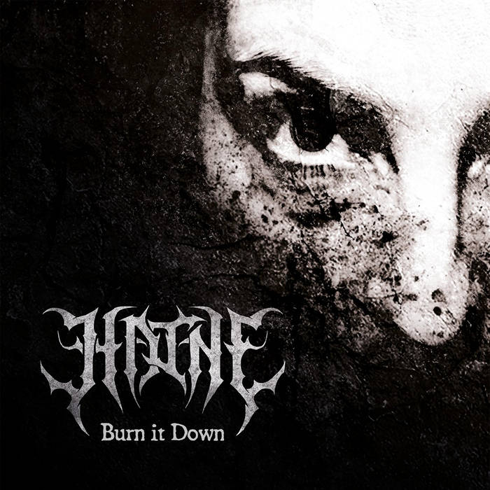 HAINE - Burn It Down cover 