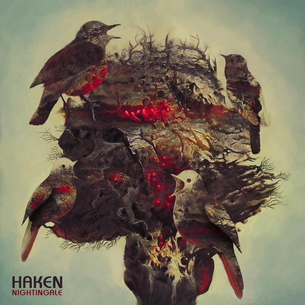 HAKEN - Nightingale cover 