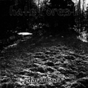 HATE FOREST - Darkness cover 