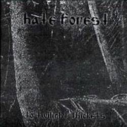 HATE FOREST - To Twilight Thickets cover 