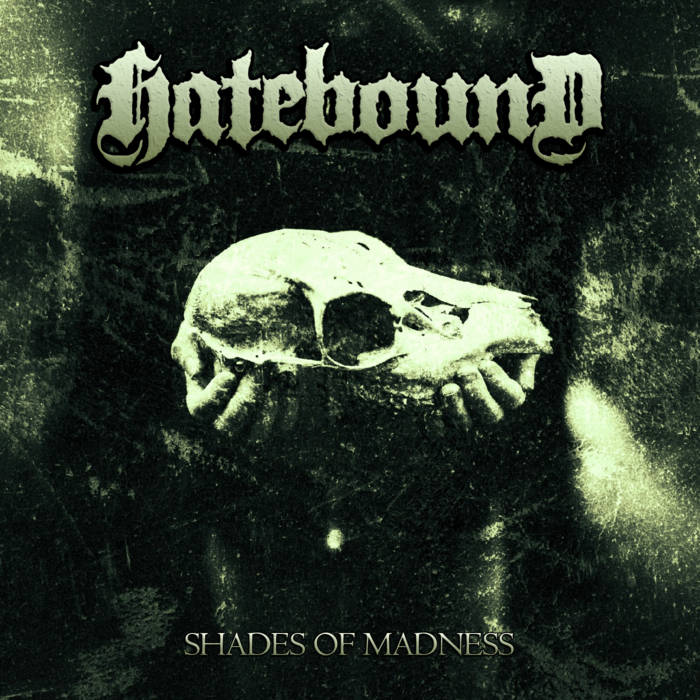 HATEBOUND - Shades Of Madness cover 