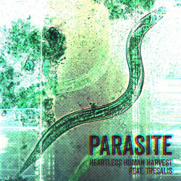 HEARTLESS HUMAN HARVEST - Parasite (Feat. Tresalis) cover 