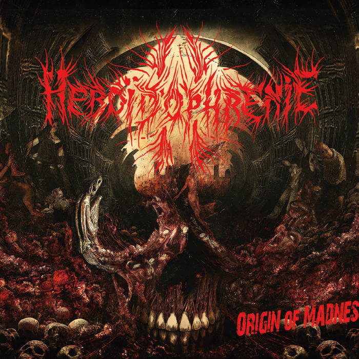 HEBOÏDOPHRENIE - Origin Of Madness cover 