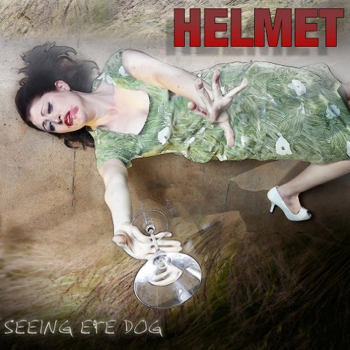 HELMET - Seeing Eye Dog cover 