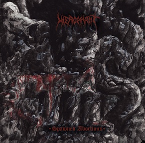 HIEROPHANT - Spawned Abortions cover 