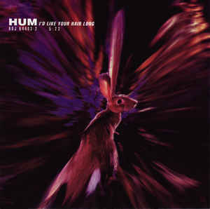HUM - I'd Like Your Hair Long cover 