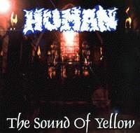 HUMAN - The Sound Of Yellow cover 