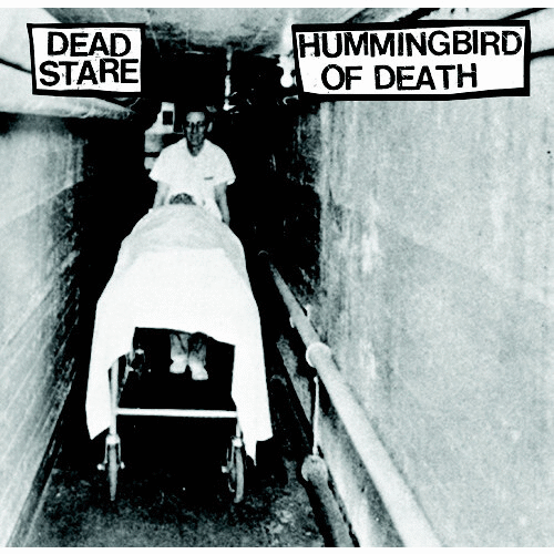 HUMMINGBIRD OF DEATH - Dead Stare / Hummingbird Of Death cover 