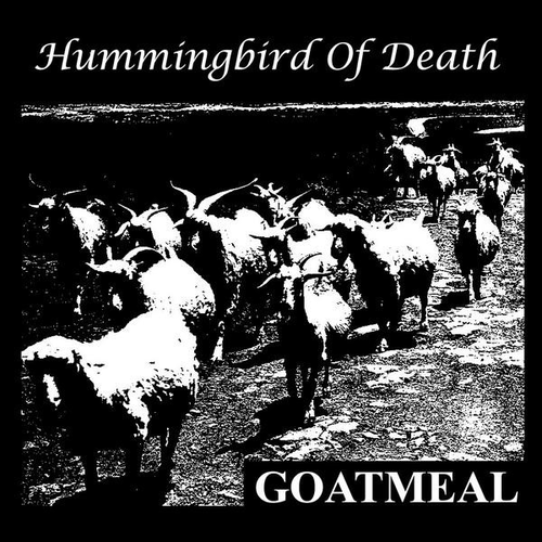 HUMMINGBIRD OF DEATH - Goatmeal cover 