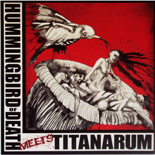 HUMMINGBIRD OF DEATH - Hummingbird Of Death Meets Titanarum cover 