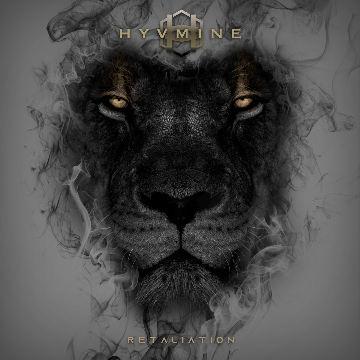 HYVMINE - Retaliation cover 