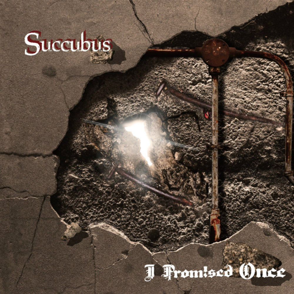 I PROMISED ONCE - Succubus cover 