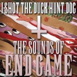I SHOT THE DUCK HUNT DOG - The Sounds Of Endgame cover 