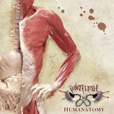 IDIOT. FLESH. - Humanatomy cover 