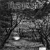 ILDJARN - Forest Poetry cover 
