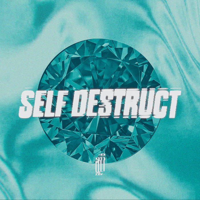 IMMERSE - Self Destruct cover 