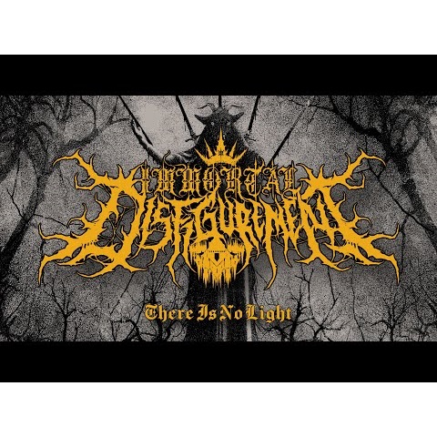 IMMORTAL DISFIGUREMENT - There Is No Light cover 