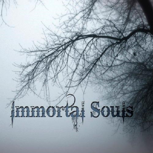 IMMORTAL SOULS - Путь страданий cover 