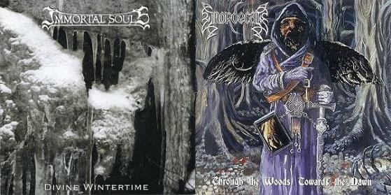 IMMORTAL SOULS - Divine Wintertime / Through the Woods, Towards the Dawn cover 